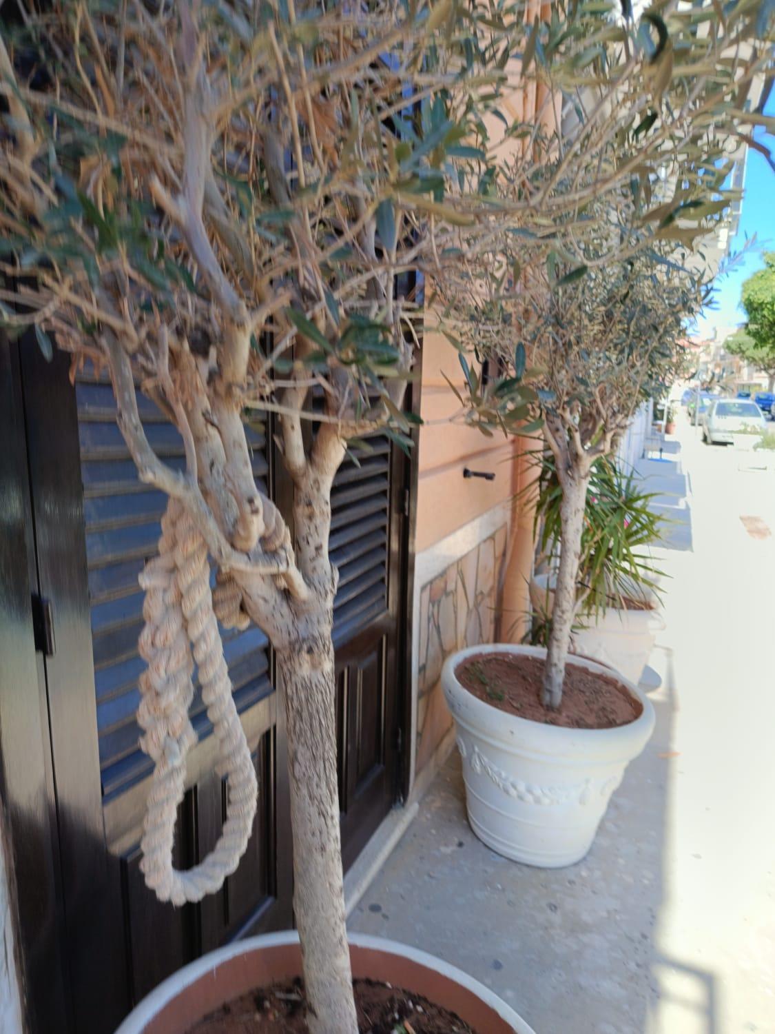 da Cappellini Bed & Breakfast Isola delle Femmine Eksteriør bilde