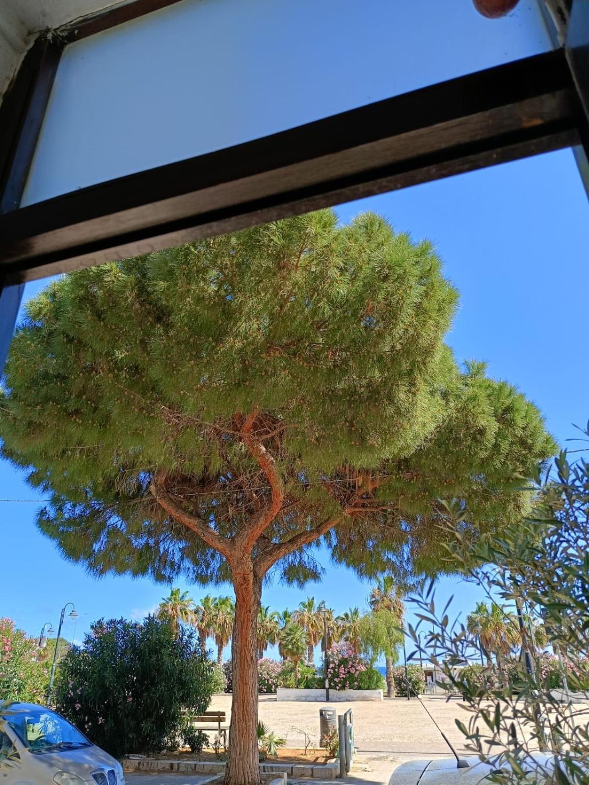da Cappellini Bed & Breakfast Isola delle Femmine Eksteriør bilde
